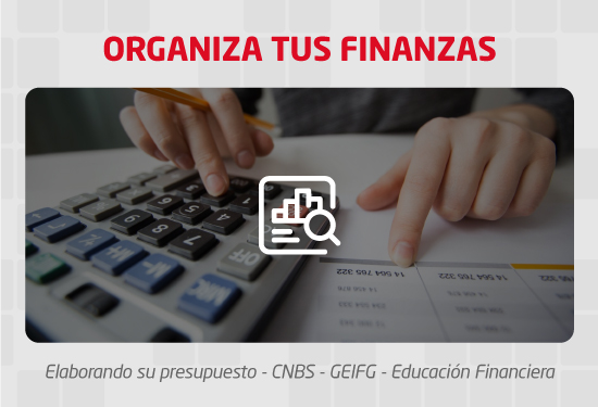 Organiza tus finanzas