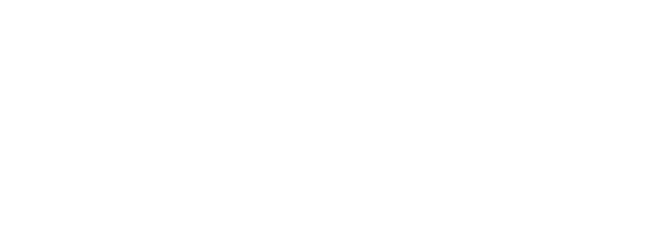 Vida Digital